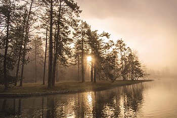 Mystic sunrise at Lake Šobec