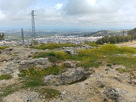 Image illustrative de l’article Nécropole de Torredelcampo