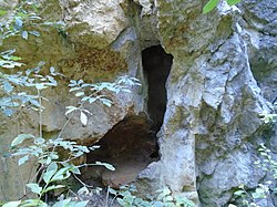 A Róka-hegyi kőfejtő 1. sz. barlangjának bejárata