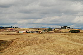 Olea de Boedo