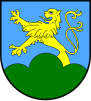 Coat of arms of Gmina Lewin Brzeski