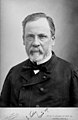 Photographie de Louis Pasteur réalisée en 1878 par Nadar qui a servi de modèle pour le portrait à l'avers.