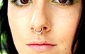 Septum