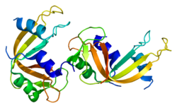 Белок RNASE1 PDB 1dza.png