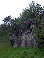 Rinntal mit Dolomitfelsen im Sommer