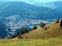 Schönau sett från Holzer Kreuz i närbelägna Fröhnd.