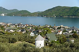 Olivodling på Shōdoshima