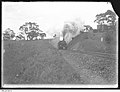 Train exiting No. 5 Tunnel at Belair, South Australia c.1915