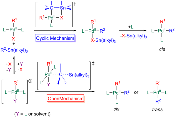Los dos mecanismos, cyclic y abiertos, de transmetallation en el Stille reacción