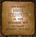 Stolperstein für Maria Herzberger (Im Stavenhof 7)