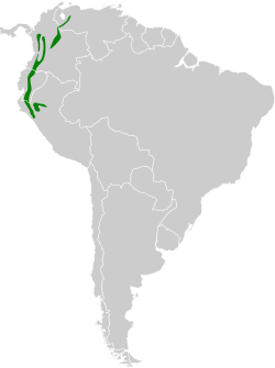 Distribución geográfica de la tangara azulinegra.
