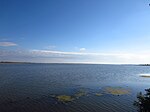 Tiszasjön är vidsträckt men grund.