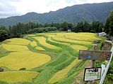 Rice terraces of Ueyama in Ojiro, Kami