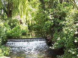 Weir on the River Tarrant near Tarrant Crawford - geograph.org.uk - 452279.jpg