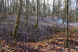 Entonnoir formé par le puits situé au sud-ouest de Crainvillers avec le terril derrière.