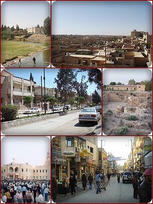 Al-Hasakah Collage.jpg