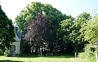 5 Linden mit Umgebung an der Frankenkapelle