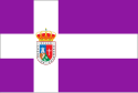 Casar de Palomero - Bandera