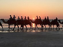 Camel rides are a popular tourist activity at Cable Beach in Broome Broome Cable Beach and camels.jpg