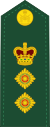 Канадская армия OF-5.svg
