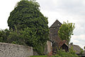 Tour Nord-Ouest couverte de lierre