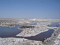 Part of the Chaxas lagoon in the Salar de Atacama.