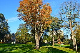 Parc Turpault.