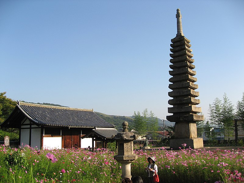 ファイル:Cosmos Garden at Hannyaji03.jpg