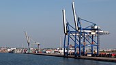 Photo du port de Copenhague