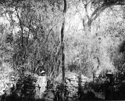 Delar av murresterna i urskogen. Incahuasi vid Caraparicito, Bolivia. Foto: Erland Nordenskiöld, 1913.