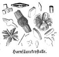 Die Gartenlaube (1861) b 073.jpg Harnsäurekrystalle