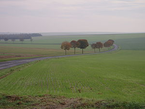 Plaine à Faux-Vésigneul