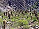 Jujuy-QuebradaDeHumahuaca-P3120148.JPG