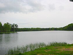 Lake Korkinskoye in Vsevolozhsky District