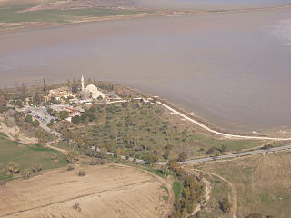 Foto aerea del Lago Salato di Larnaca (in inverno) con Hala Sultan Tekke