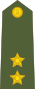 Лейтенант индийской армии.svg