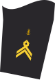 Dienstgradabzeichen eines Stabsbootsmannes (40-er Verwendungsreihe) auf dem Unterärmel der Jacke des Dienstanzuges für Marineuniformträger