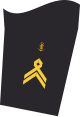 Distintivo per paramano