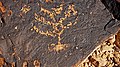 Rock art from Mount Karkom in the Negev: menorah-like incised drawing