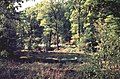 Naturschutzgraben an der Westseite des Hülser Berges mit Quelltümpel.