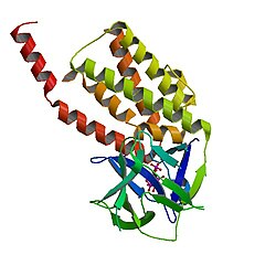 PBB Protein ITPR1 image.jpg