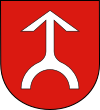 Coat of arms of Magnuszew