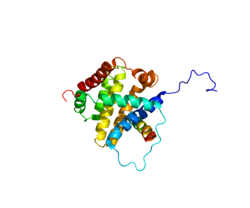 Белок BCL2L11 PDB 2K7W.png