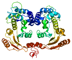 Протеин BST1 PDB 1isf.png