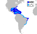 Миниатюра для Файл:Sargocentron vexillarium mapa.svg