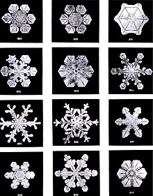 snowflakes