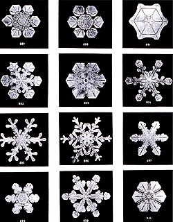 Snow flakes by Wilson Bentley, 1902