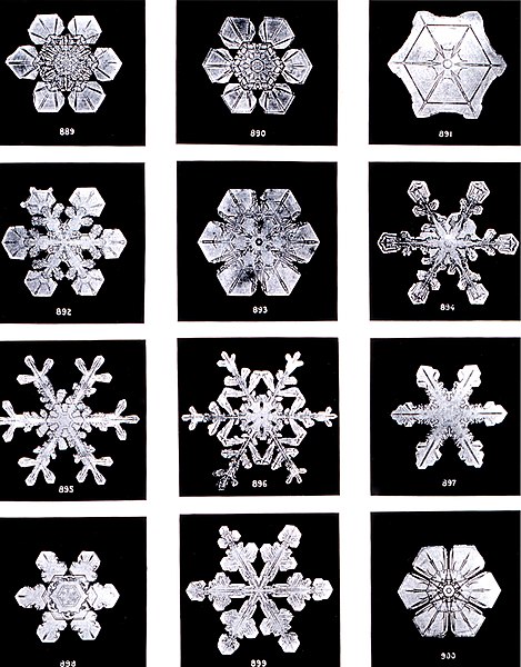 ファイル:SnowflakesWilsonBentley.jpg