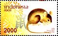 ID009.08, 26 January 2008, Year of the Rat