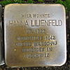 Stolperstein für Hanna Lilienfeld